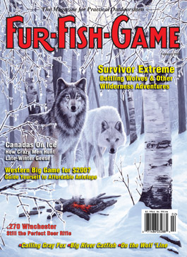 February 2004 Wolves