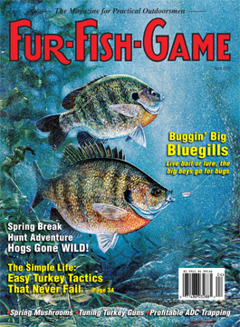 April 2005 Bluegill