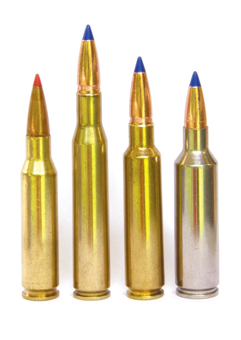 Hunting Cartridges