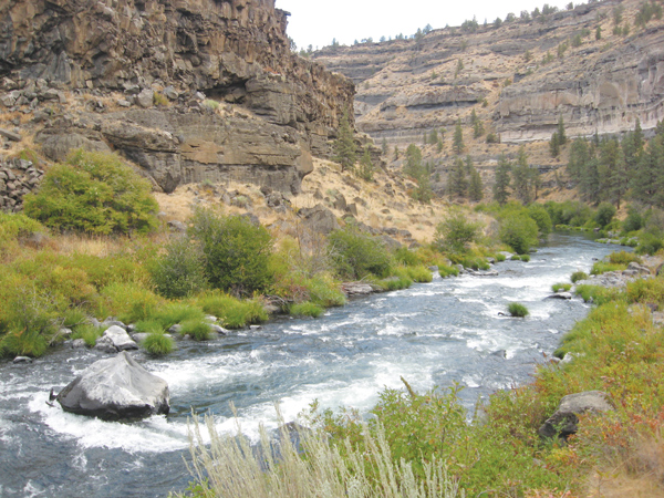 Fast flowing stream