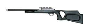 Magnum Research MLR22AT